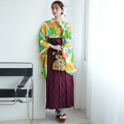 【レンタル】 袴 17点セット  二尺袖着物 大正浪漫かすれ緑縞にしゃぼん玉 袴95cm（身長約158-163cm）重ね衿縫い付済  卒業式 大学生 専門学生（1021609801）