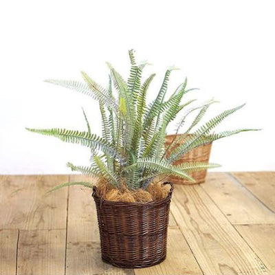 【フェイクグリーン】人工観葉植物 ボストンファーン 造花 ディスプレイ インテリア【取り寄せ品】（2397602800）