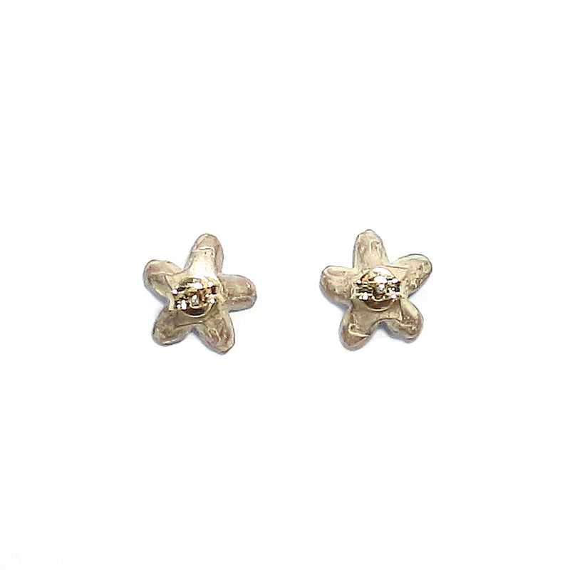 ピアス 両耳 Palnart Poc ブルースター 日本製 ハンドメイド【取り寄せ品】（2503611100）