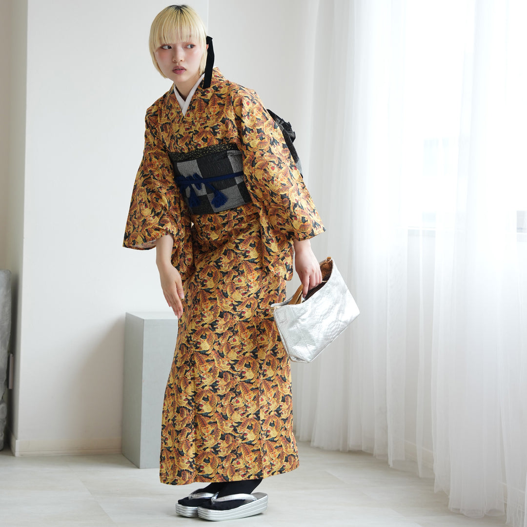 ニコアンティーク 単衣着物 ヒャッコヤコウ】着物 単品 レトロ