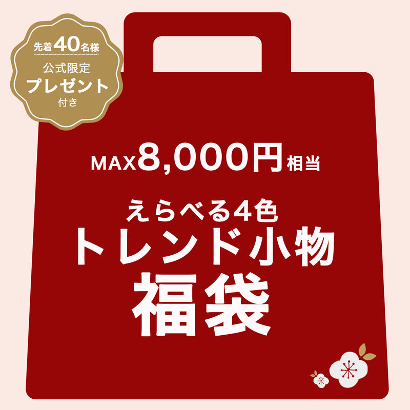 【トレンド小物 福袋】送料無料！Max8,000円相当の選べる4色福袋 ファー帽子・スマホストラップ・ミニチャーム財布（6498601001）